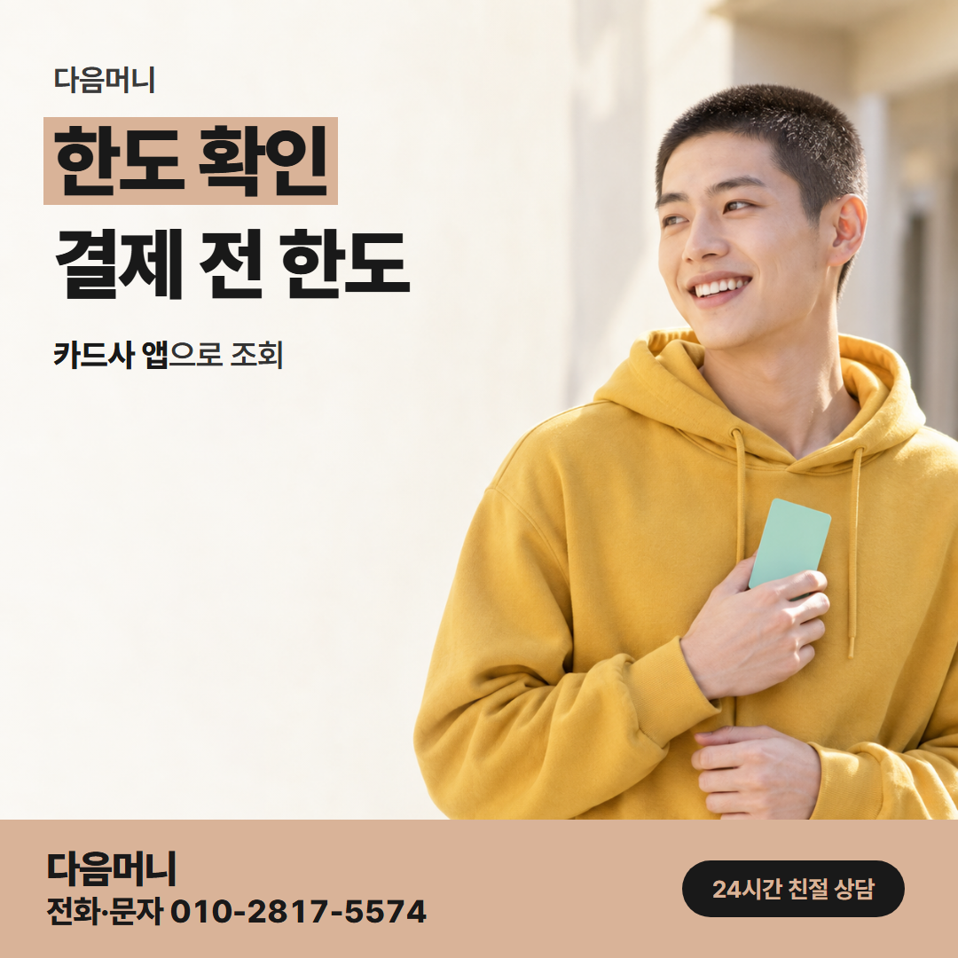 다음머니 평촌카드깡 카드사가 정한 남은 한도 조회